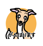 【フォーン4】1年中使えるイタグレスタンプ（個別スタンプ：11）