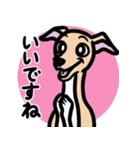 【フォーン4】1年中使えるイタグレスタンプ（個別スタンプ：13）