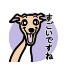 【フォーン4】1年中使えるイタグレスタンプ（個別スタンプ：14）
