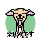 【フォーン4】1年中使えるイタグレスタンプ（個別スタンプ：16）