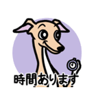 【フォーン4】1年中使えるイタグレスタンプ（個別スタンプ：21）