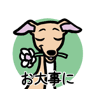 【フォーン4】1年中使えるイタグレスタンプ（個別スタンプ：23）