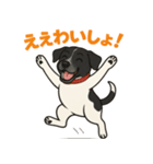和歌山弁の犬（石松）その2（個別スタンプ：5）