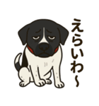 和歌山弁の犬（石松）その2（個別スタンプ：6）
