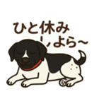 和歌山弁の犬（石松）その2（個別スタンプ：7）