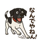 和歌山弁の犬（石松）その2（個別スタンプ：8）