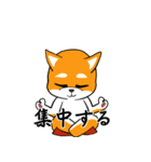 柴犬のダブルビックリ（個別スタンプ：4）