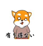 柴犬のダブルビックリ（個別スタンプ：13）