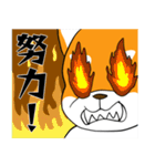 柴犬のダブルビックリ（個別スタンプ：14）