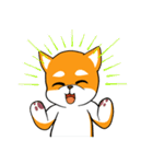 柴犬のダブルビックリ（個別スタンプ：15）