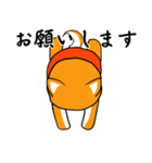 柴犬のダブルビックリ（個別スタンプ：17）