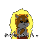 柴犬のダブルビックリ（個別スタンプ：19）