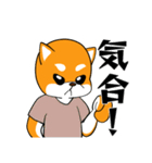 柴犬のダブルビックリ（個別スタンプ：22）