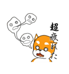柴犬のダブルビックリ（個別スタンプ：23）