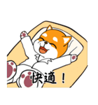 柴犬のダブルビックリ（個別スタンプ：25）