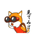 柴犬のダブルビックリ（個別スタンプ：26）