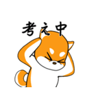 柴犬のダブルビックリ（個別スタンプ：30）