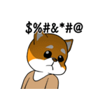 柴犬のダブルビックリ（個別スタンプ：32）