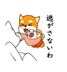 柴犬のダブルビックリ（個別スタンプ：33）