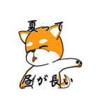 柴犬のダブルビックリ（個別スタンプ：36）