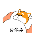 柴犬のダブルビックリ（個別スタンプ：38）
