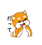 柴犬のダブルビックリ（個別スタンプ：39）