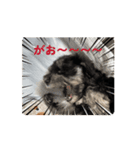 動くLOLO様（個別スタンプ：7）