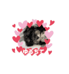 動くLOLO様（個別スタンプ：8）