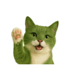 猫「すだち」のリアルバージョン（個別スタンプ：4）