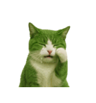 猫「すだち」のリアルバージョン（個別スタンプ：7）