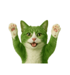 猫「すだち」のリアルバージョン（個別スタンプ：8）