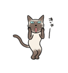 びびり猫のシャムちゃん（個別スタンプ：2）