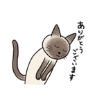 びびり猫のシャムちゃん（個別スタンプ：3）