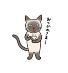 びびり猫のシャムちゃん（個別スタンプ：5）