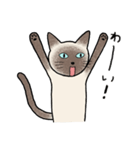 びびり猫のシャムちゃん（個別スタンプ：6）