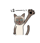 びびり猫のシャムちゃん（個別スタンプ：7）