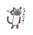 びびり猫のシャムちゃん（個別スタンプ：8）