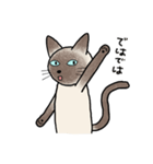 びびり猫のシャムちゃん（個別スタンプ：10）