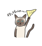 びびり猫のシャムちゃん（個別スタンプ：11）