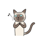 びびり猫のシャムちゃん（個別スタンプ：13）