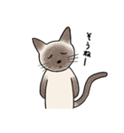 びびり猫のシャムちゃん（個別スタンプ：15）