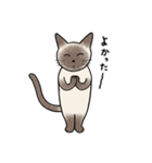 びびり猫のシャムちゃん（個別スタンプ：16）