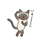 びびり猫のシャムちゃん（個別スタンプ：17）