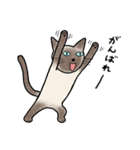 びびり猫のシャムちゃん（個別スタンプ：20）