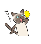 びびり猫のシャムちゃん（個別スタンプ：22）