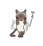 びびり猫のシャムちゃん（個別スタンプ：23）