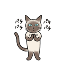 びびり猫のシャムちゃん（個別スタンプ：25）