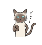 びびり猫のシャムちゃん（個別スタンプ：30）