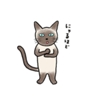 びびり猫のシャムちゃん（個別スタンプ：32）