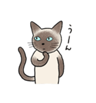びびり猫のシャムちゃん（個別スタンプ：36）